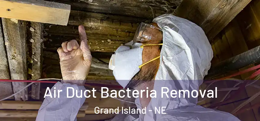 Air Duct Bacteria Removal Grand Island - NE