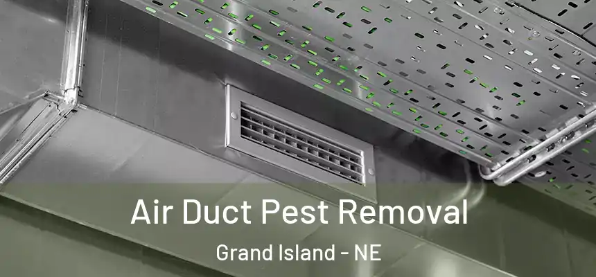 Air Duct Pest Removal Grand Island - NE
