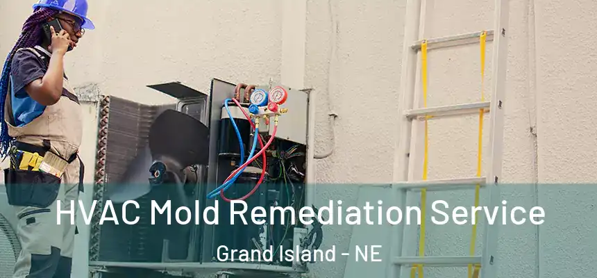  HVAC Mold Remediation Service Grand Island - NE