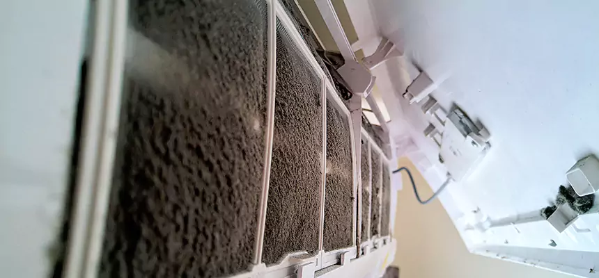 Preventive Air Duct Bacteria Removal in Grand Island