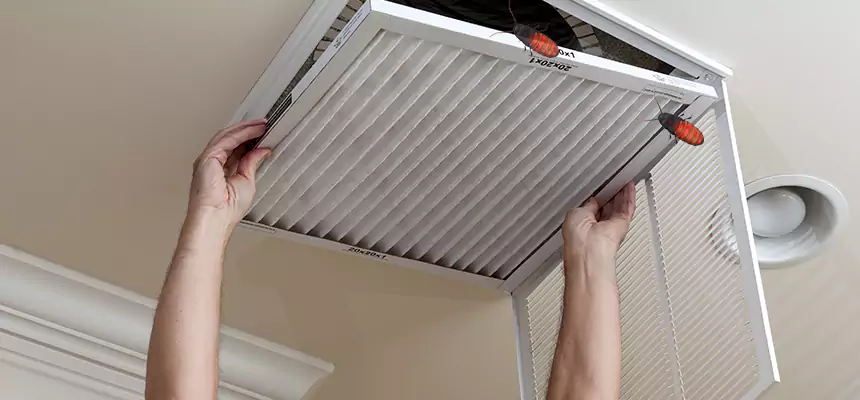 Preventive Cockroach-Proofing for Ducts in Grand Island