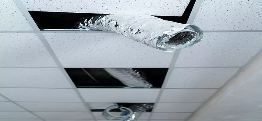 Affordable HVAC Sanitizing After Pest Removal in Grand Island