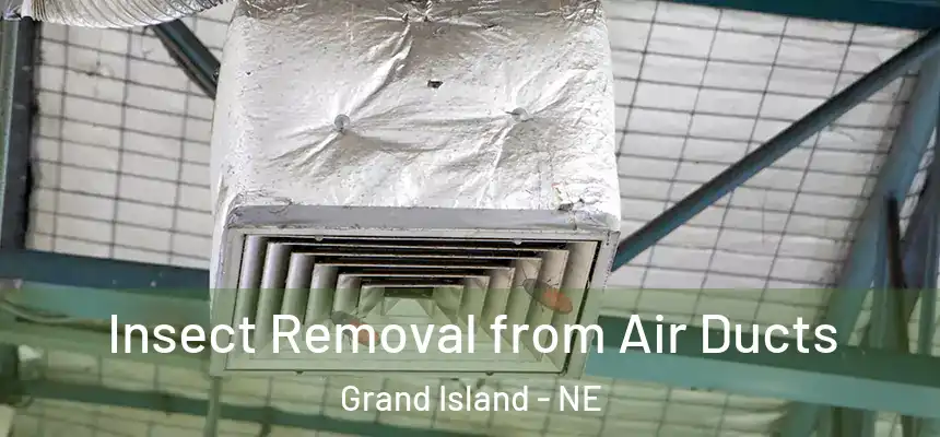 Insect Removal from Air Ducts Grand Island - NE