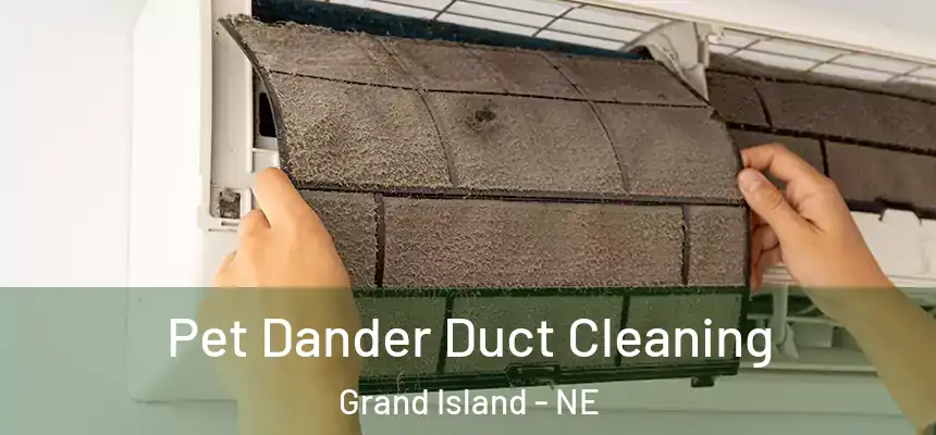 Pet Dander Duct Cleaning Grand Island - NE