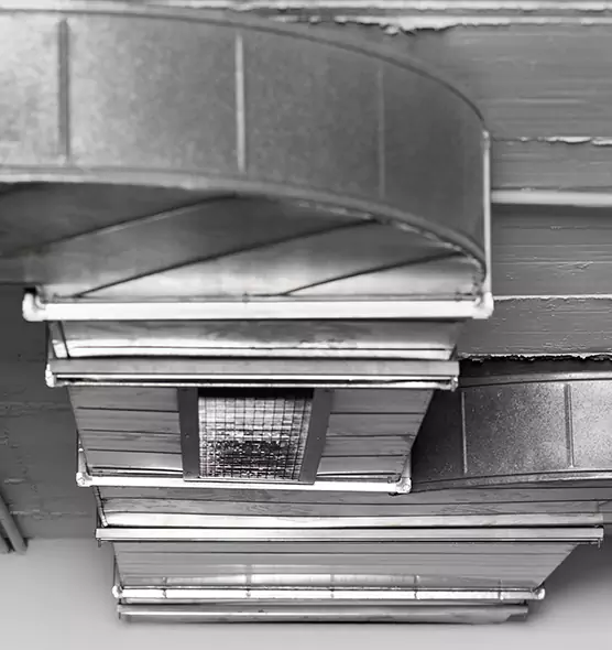 Professional Air Duct Pest Removal in Grand Island, NE