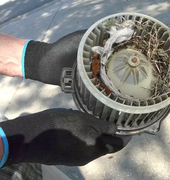 About Air Duct Rat Removal in Grand Island, NE