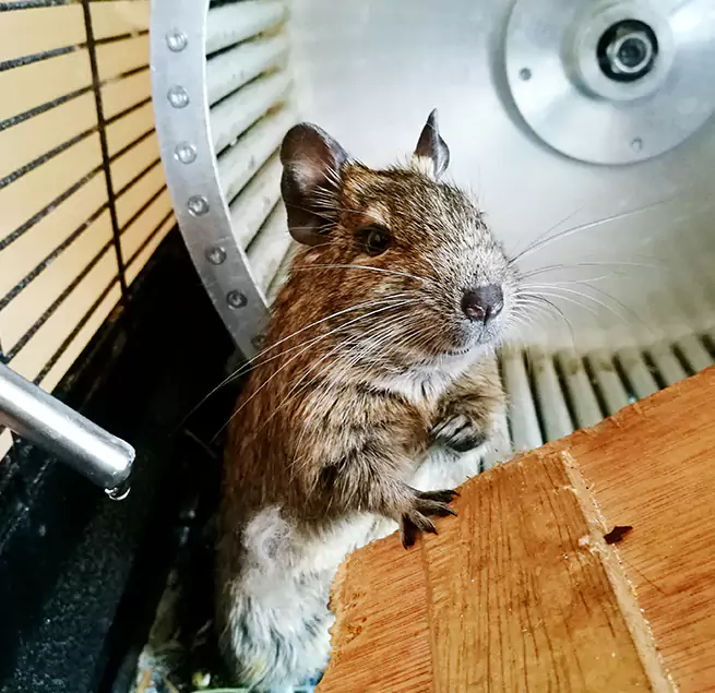 Why Homeowners & Businesses Trust Us Grand Island, NE?